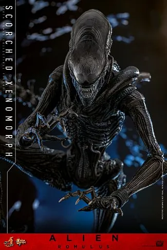 Фигурка Scorched Xenomorph — Hot Toys Alien Romulus 1/6 