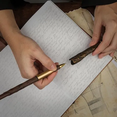Палочка Гарри Поттера — Cinereplicas Harry Potter Harry Wand Pen