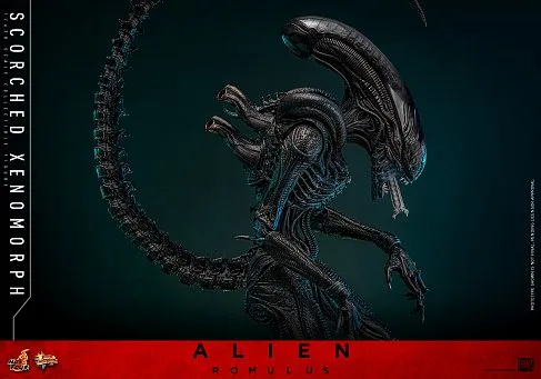 Фигурка Scorched Xenomorph — Hot Toys Alien Romulus 1/6 