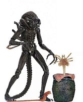 Фигурка Чужого — Neca Aliens Ultimate Alien Warrior Brown