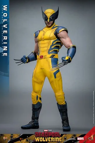 Фигурка Wolverine — Hot Toys MMS753 Deadpool and Wolverine 1/6