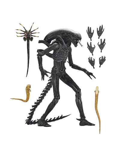 Фигурка Alien Romulus Xenomorph XX121 — Neca Ultimate Figure