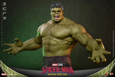 Фигурка Hulk — Hot Toys MMS905 Spider-Man Brand New Day 1/6