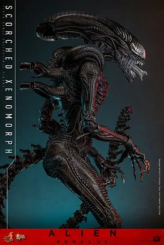 Фигурка Scorched Xenomorph — Hot Toys Alien Romulus 1/6 