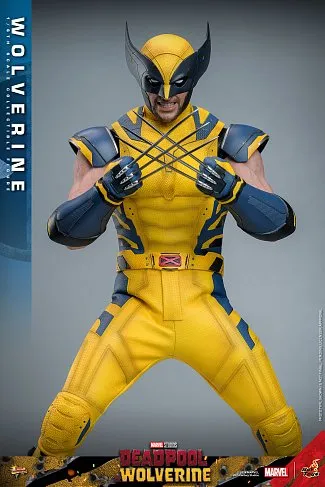 Фигурка Wolverine — Hot Toys MMS753 Deadpool and Wolverine 1/6