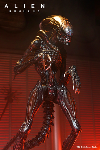 Фигурка Alien Romulus Scorched Xenomorph — Neca Ultimate Figure