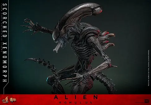Фигурка Scorched Xenomorph — Hot Toys Alien Romulus 1/6 