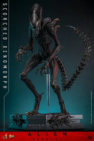 Фигурка Scorched Xenomorph — Hot Toys Alien Romulus 1/6 