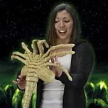 Фигурка Лицехвата — Neca Aliens Facehugger 1/1 Foam