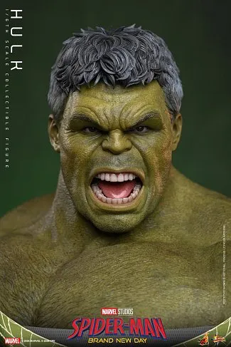 Фигурка Hulk — Hot Toys MMS905 Spider-Man Brand New Day 1/6