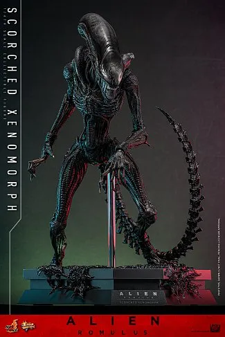 Фигурка Scorched Xenomorph — Hot Toys Alien Romulus 1/6 