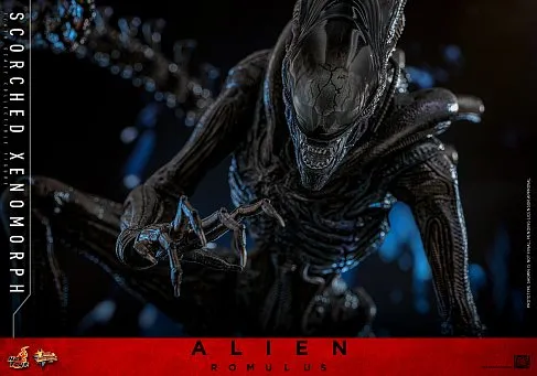 Фигурка Scorched Xenomorph — Hot Toys Alien Romulus 1/6 