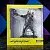 Фигурка Джеки Уэллс "Cyberpunk 2077" от Dark Horse