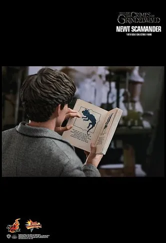 Фигурка Ньюта Саламандера — Hot Toys MMS512 Fantastic Beast 1/6 Newt Scamander