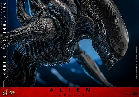 Фигурка Scorched Xenomorph — Hot Toys Alien Romulus 1/6 
