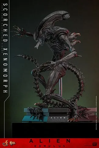 Фигурка Scorched Xenomorph — Hot Toys Alien Romulus 1/6 