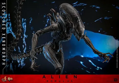 Фигурка Scorched Xenomorph — Hot Toys Alien Romulus 1/6 