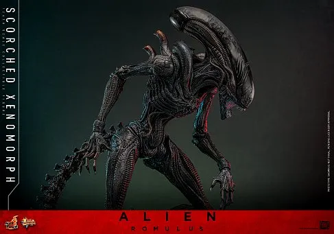 Фигурка Scorched Xenomorph — Hot Toys Alien Romulus 1/6 