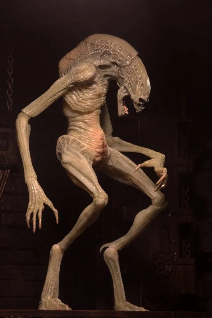 NECA-Newborn-Alien-Figure-007.jpg NECA-Newborn-Alien-Figure-007.jpg