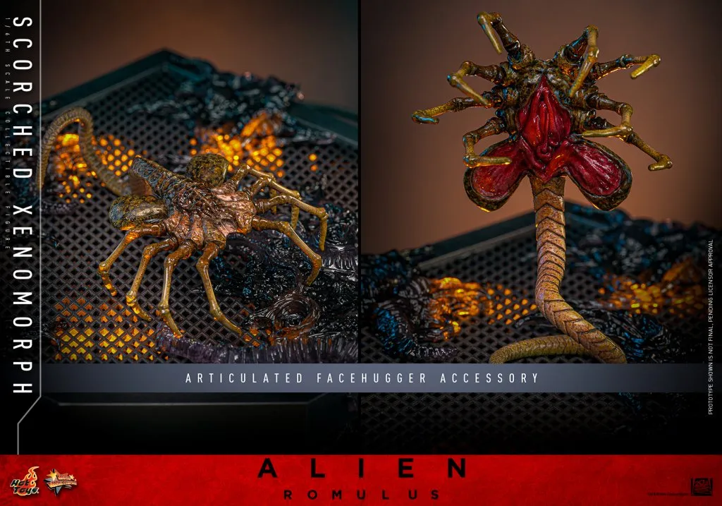 купить Фигурка Scorched Xenomorph — Hot Toys Alien Romulus 1:6 19.jpg