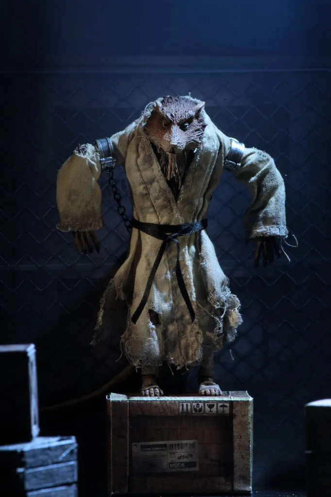 NECA-SDCC-2019-TMNT-Set-007.jpg