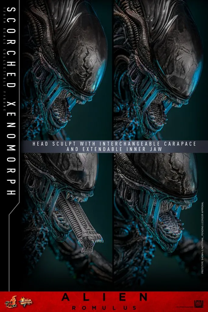 купить Фигурка Scorched Xenomorph — Hot Toys Alien Romulus 1:6 18.jpg