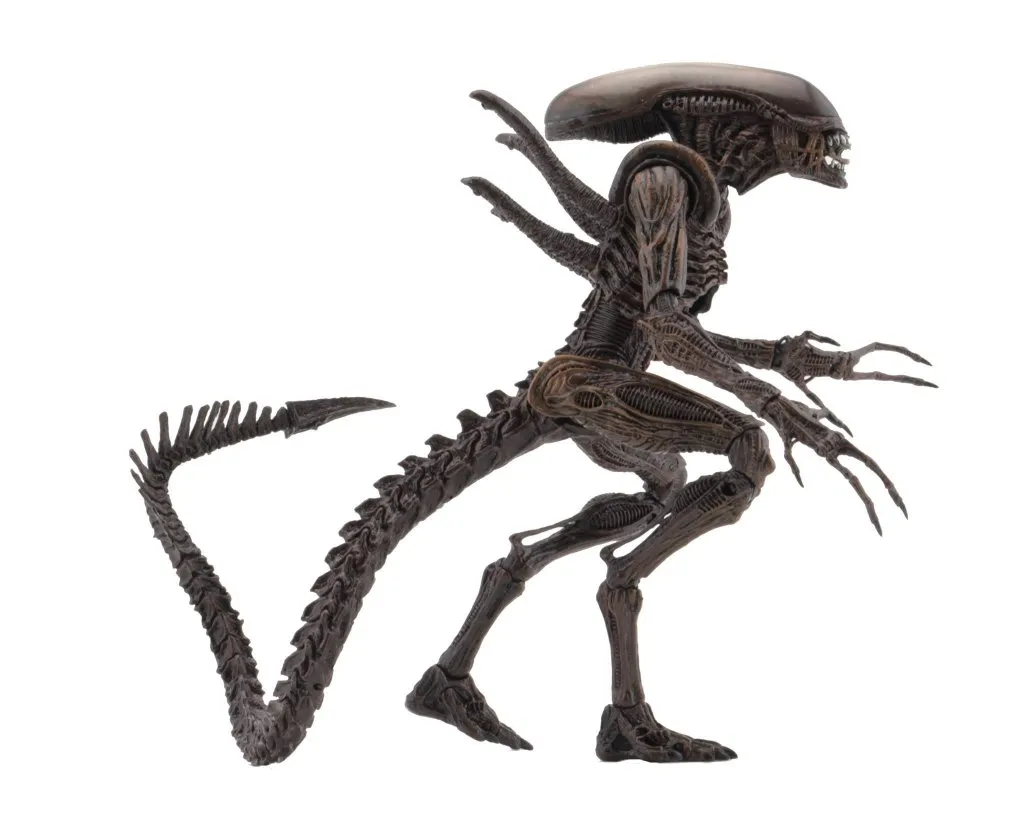 Aliens-Series-14-NECA-006.jpg Aliens-Series-14-NECA-006.jpg
