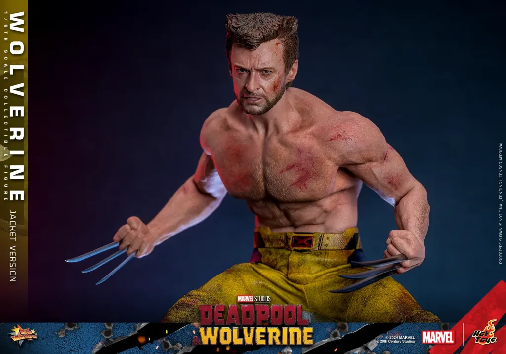 купить Фигурка Hot Toys Deadpool & Wolverine 1:6 Wolverine (Jacket Version) Figure 6.jpg