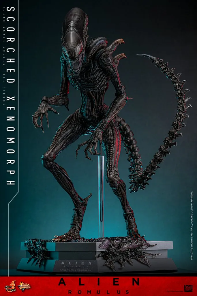 купить Фигурка Scorched Xenomorph — Hot Toys Alien Romulus 1:6 9.jpg