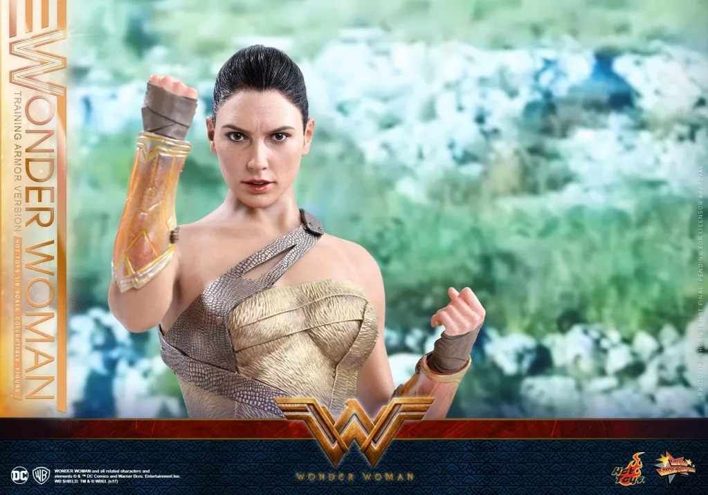 Hot-Toys-Wonder-Woman-Training-Armor-006.jpg