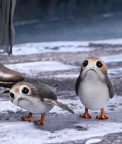 19.jpg 19.jpg