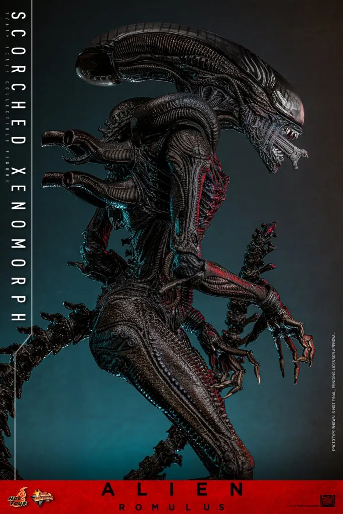 купить Фигурка Scorched Xenomorph — Hot Toys Alien Romulus 1:6 13.jpg