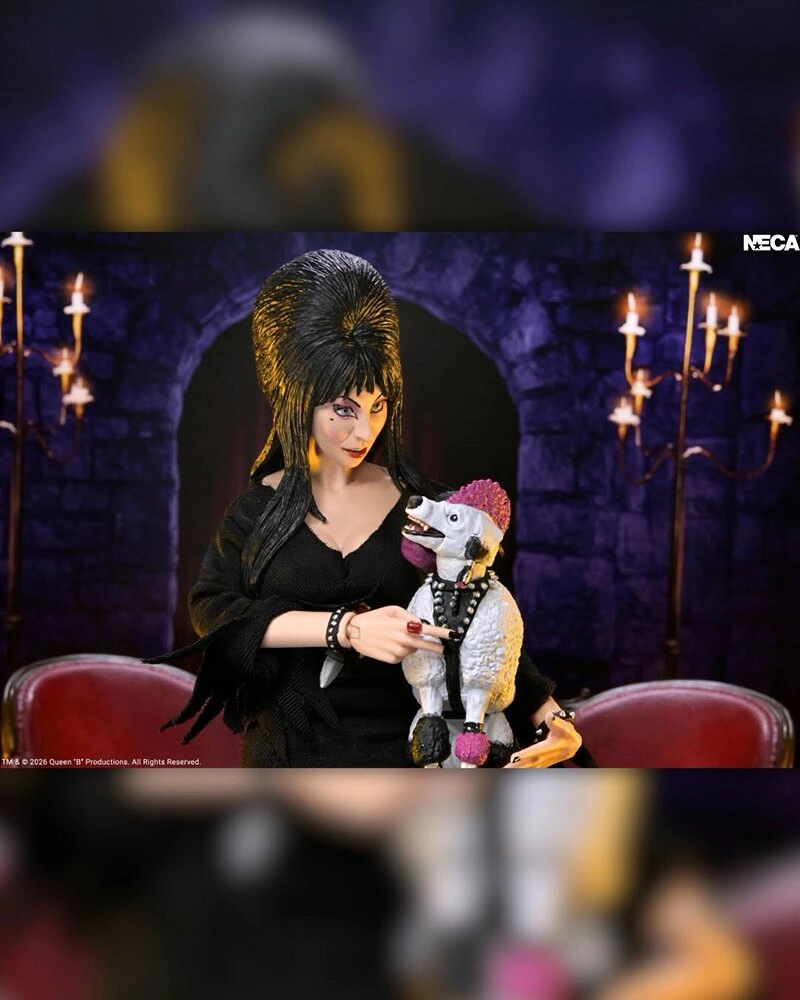 купить Фигурка Эльвира NECA Ultimate Elvira 7” Scale Action Figure 8.jpg