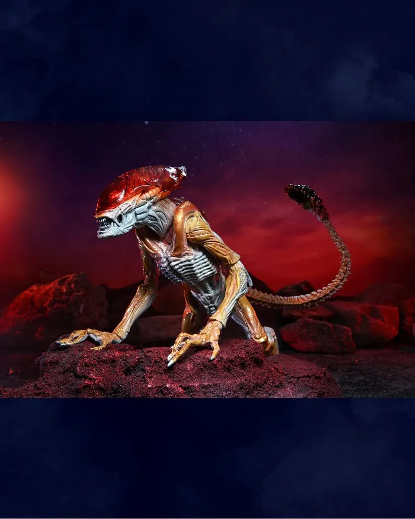 Фигурка Panther Alien — Neca Kenner Tribute 4.jpeg Фигурка Panther Alien — Neca Kenner Tribute 4.jpeg