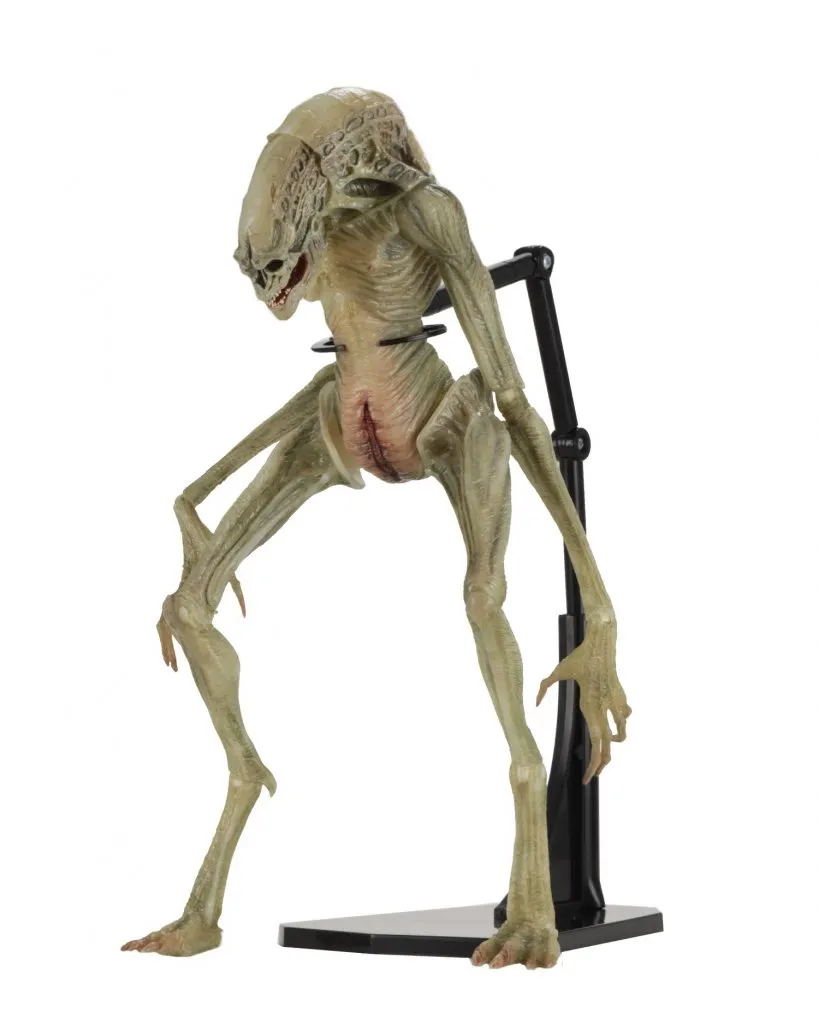 NECA-Newborn-Alien-Figure-001.jpg NECA-Newborn-Alien-Figure-001.jpg