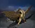 Фигурка Кинг Гидора "Годзилла 1972" от Bandai SH Monsterarts