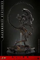 Фигурка Scorched Xenomorph — Hot Toys Alien Romulus 1/6 
