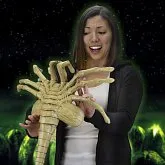 Фигурка Лицехвата — Neca Aliens Facehugger 1/1 Foam