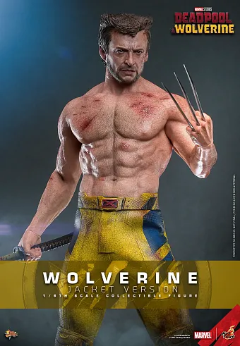 Росомаха показывает форму, Hot Toys повторяет
