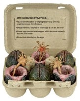 Набор Яйца Чужих — Neca 40 Anniversary Alien Xenomorph Eggs 6 Set Mini Figures