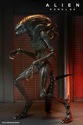 Фигурка Alien Romulus Scorched Xenomorph — Neca Ultimate Figure