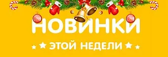 Предновогодние новинки и поступления
